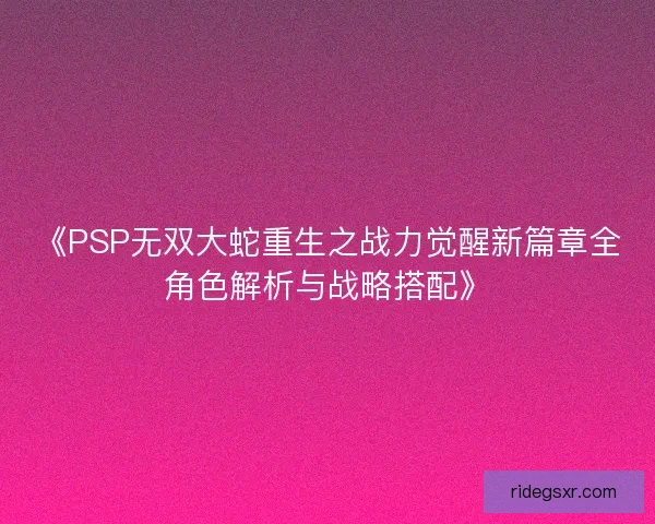 《PSP无双大蛇重生之战力觉醒新篇章全角色解析与战略搭配》